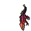 Adult Goanna
