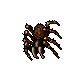 Tarantula